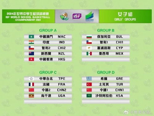 南田锦标赛S评价攻略：揭秘无名之龙高效打法技巧