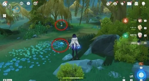 湖光铃兰采集攻略，揭秘购买地点攻略新技巧