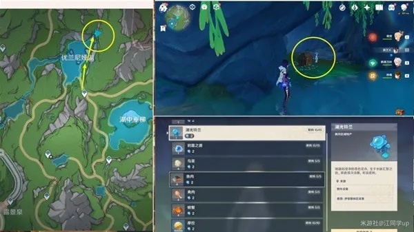 《原神》伊犁耶任务攻略：高效获取6个幽灵枝秘籍分享
