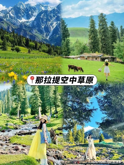 伊犁耶野精灵全攻略：解锁神秘自然之力新篇章