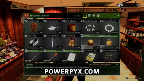 《如龙7外传》全金珠攻略：一网打尽获取秘籍，解锁隐藏宝藏