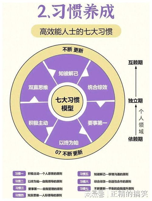 湖光铃兰高效采集攻略：最优路线深度解析**技巧**分享