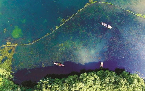 大枫丹湖挑战深度解析：解锁水下秘境新攻略