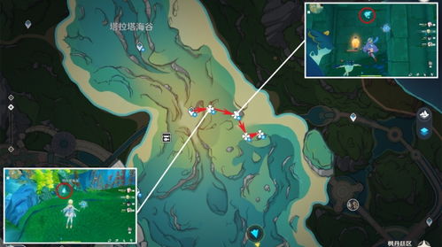 夏洛蒂突破必备！苍晶螺高效采集攻略大揭秘