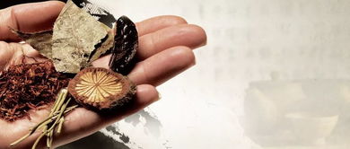 白术卡池抽取攻略：深度解析，白术培养价值揭秘！