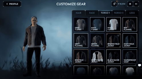 《寂静岭飞升》攻略揭秘：购买必看价值指南