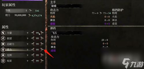 《堕落之主》魂点攻略：揭秘高效刷魂秘境新玩法