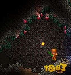 新手攻略揭秘：泰拉瑞亚开局选择新价值解析