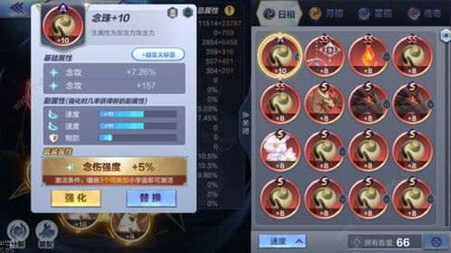 夏洛蒂技能解析与超值配装攻略揭秘