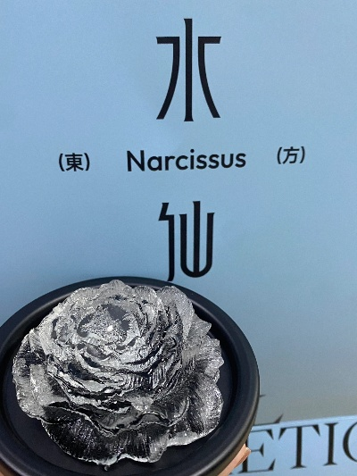 水仙安首幕攻略：深度解析，解锁神秘新元素