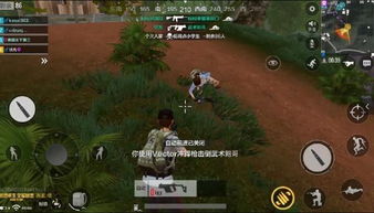 荒漠枪手狩猎时间流职业深度解析：解锁全新战术优势