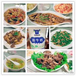 稻妻风味解锁！探秘《原神》特色料理制作秘籍