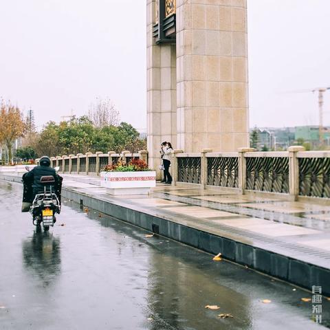 河堤平整新攻略：揭秘《都市天际线2》高效建造技巧