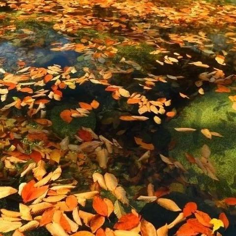 《心灵杀手2》全护身符攻略秘籍，解锁神秘新价值