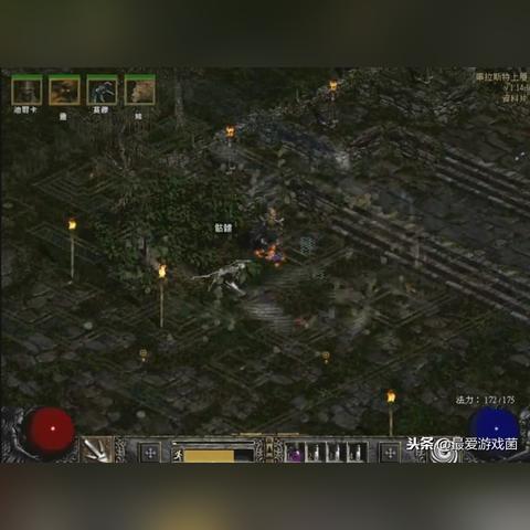 熊盾德鲁伊全新赛季伤害解析，揭秘暗黑4第二赛季核心奥秘