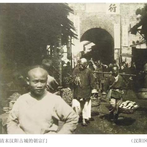 《城市天际线2》画面优化秘籍，解锁流畅视觉盛宴