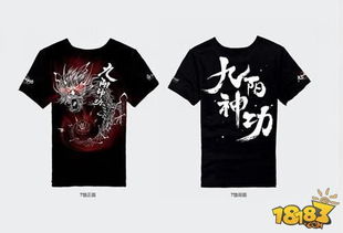 2025年九阳真经私服避坑第一关，怎么分辨割韭菜服和长期服？