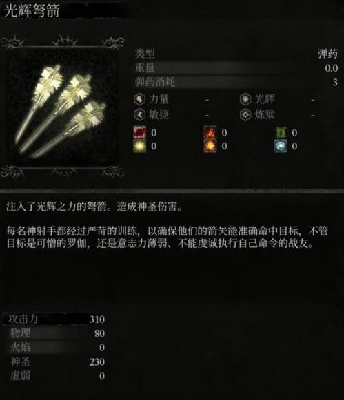 《堕落之主》箭矢收集攻略：高效秘籍解锁新境界