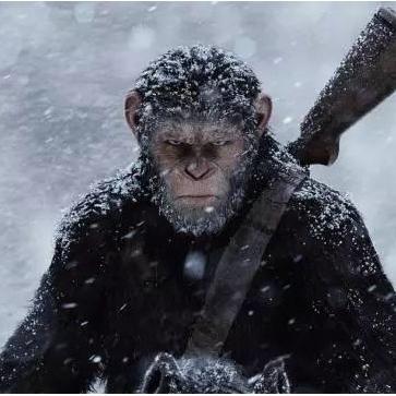 《骷髅岛金刚崛起》全攻略揭秘：高效通关秘籍大公开