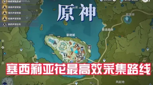 《原神》4.1塞西莉亚花高效采集攻略，解锁神秘新价值