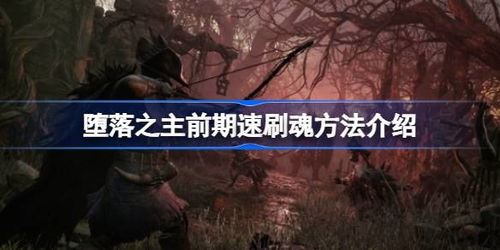 《堕落之主》光辉失衡流攻略：深度解析玩法与技巧揭秘