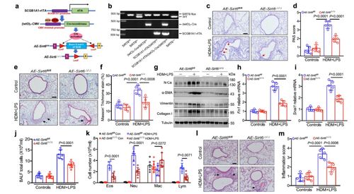枫丹科考新发现：迁能终端位置深度解析