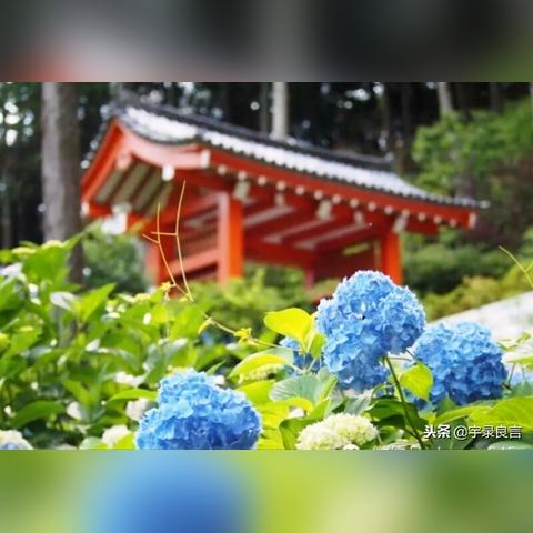 《堕落之主》攻略：高效挂机刷经验秘籍大公开