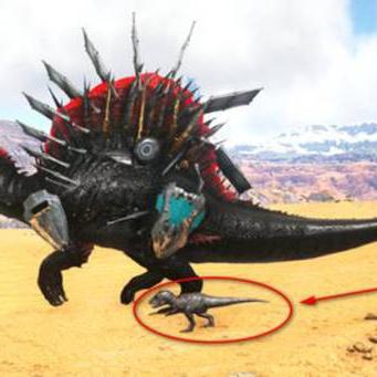 荒漠枪手技能揭秘：命运方舟新锐枪战力解析