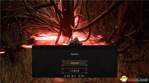 《堕落之主》武器法术全解析：饰品戒指任务品攻略大揭秘