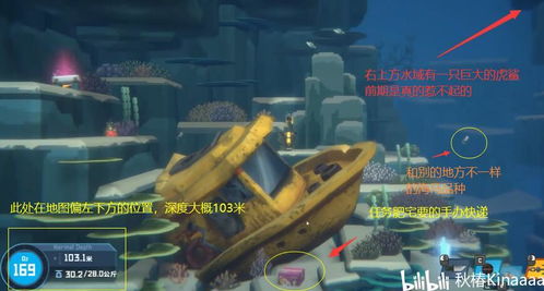 《深海探险家戴夫》章鲨篇：夜潜奇遇，揭秘神秘夜行鱼类新发现