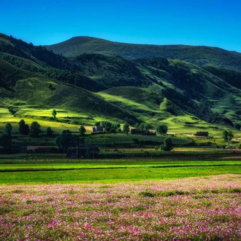 无垠蔚蓝之歌精炼攻略：解锁武器升级新秘籍