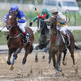 全国首发！《极限竞速8》国产车试驾，体验速度与激情新境界