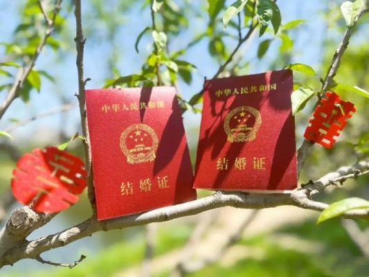 民政部门证实：离婚证背“囍”字，见证独特情感新篇章