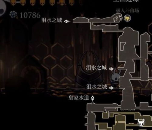 《幻景巨蛇巢哈密室解密》密室书正确顺序解锁攻略揭秘