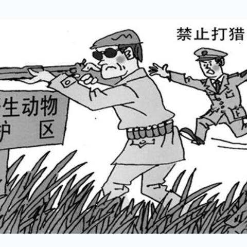 《收容秘密档案》全攻略揭秘：解锁神秘档案新视角