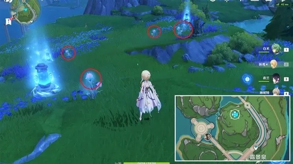 《原神》4.1海露花高效采集攻略，虹彩蔷薇路线秘籍大公开