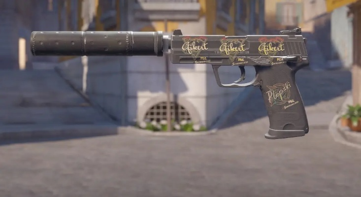 精选CS2性价比高皮肤，打造视觉盛宴