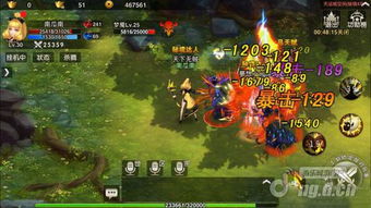 华夏绘世录吸血队玩法攻略，深度解析新价值策略