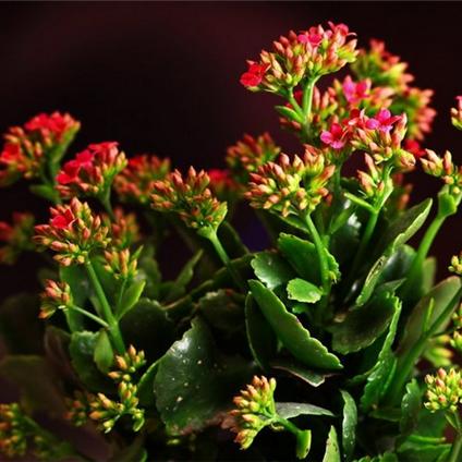 《收获日3》速刷经验攻略：高效脏冰单人刷级技巧解析