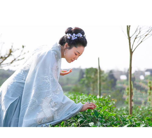 幻想者玩家必看，为什么90%的人卡关在「镜像裂隙」