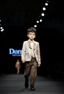 贵族风采尽收眼底：揭秘匹诺曹燕尾服独特获取途径