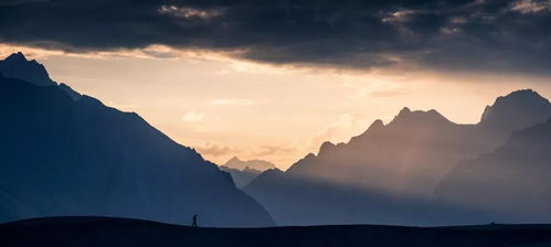 探索枫丹飞禽秘境：捕捉光影研学第四天绝美拍照点