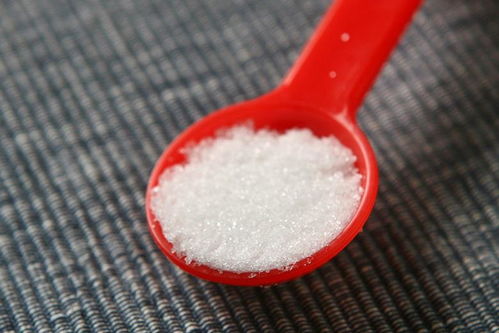 独门秘籍！朱紫版闪光小卡比兽捕捉攻略大公开