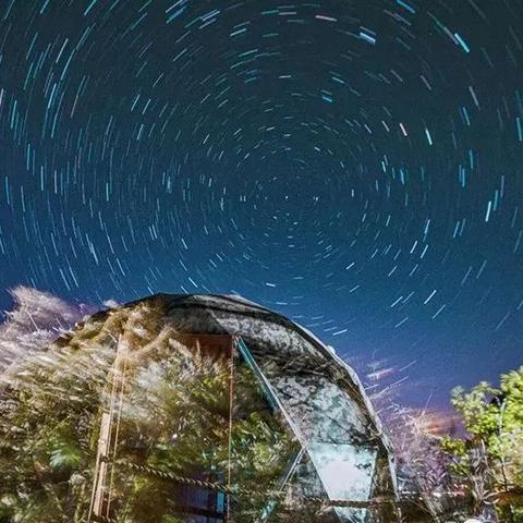 《星空》星种行动终极攻略：解锁未知秘境新篇章