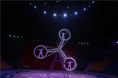 《星空星裔套装》惊艳亮相，揭秘全新视觉盛宴！