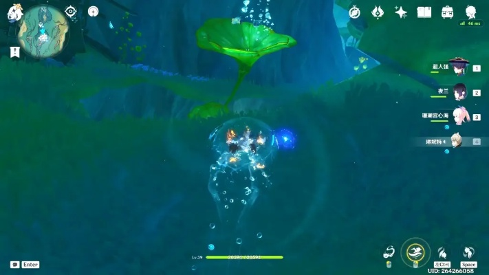 海露花高效采集攻略，解锁神秘资源新途径