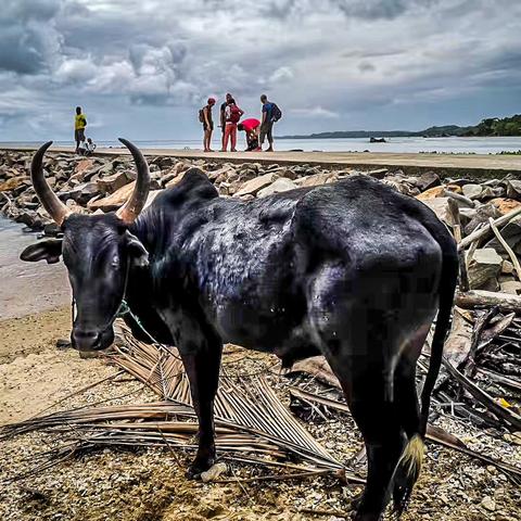 《命运方舟》PDD开荒牛头攻略，揭秘演员助力技巧新突破