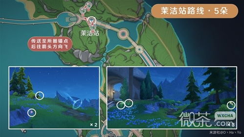 《原神》4.0突破攻略：海露花采集高效技巧大揭秘！