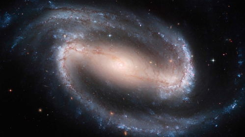 《星空》罗斯福成吉思汗彩蛋深度解析，探寻隐藏的宇宙奥秘