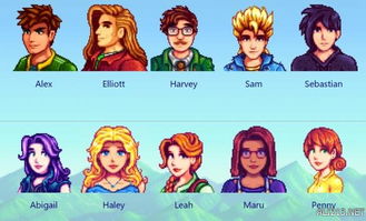 《星空攻略》莎拉摩根好感提升结婚秘籍，解锁浪漫新篇章